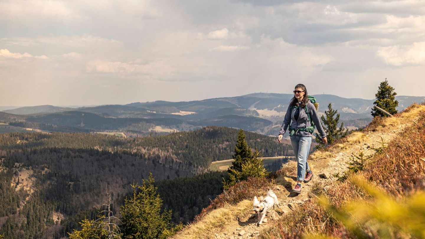 Schwarzwald: Seit ihrer Kindheit macht unsere Chefredakteurin Urlaub im Schwarzwald