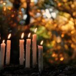 Die Ahnen ehren: 7 Rituale für dein Samhain-Fest am 31. Oktober