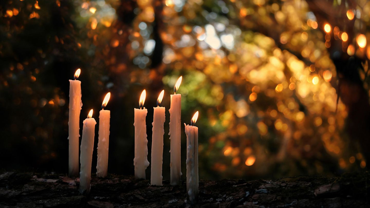 Die Ahnen ehren: 7 Rituale für dein Samhain-Fest am 31. Oktober