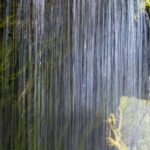 Schwarzwald: Ein Urlaub wie im Märchen