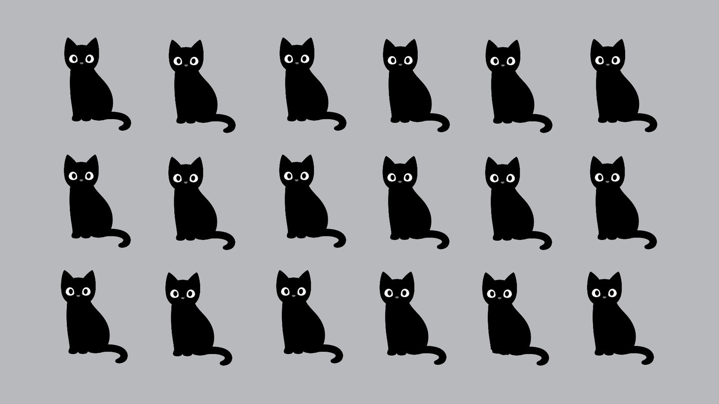 Halloween-Suchbild: Welche schwarze Katze hat hier ihren eigenen Kopf?