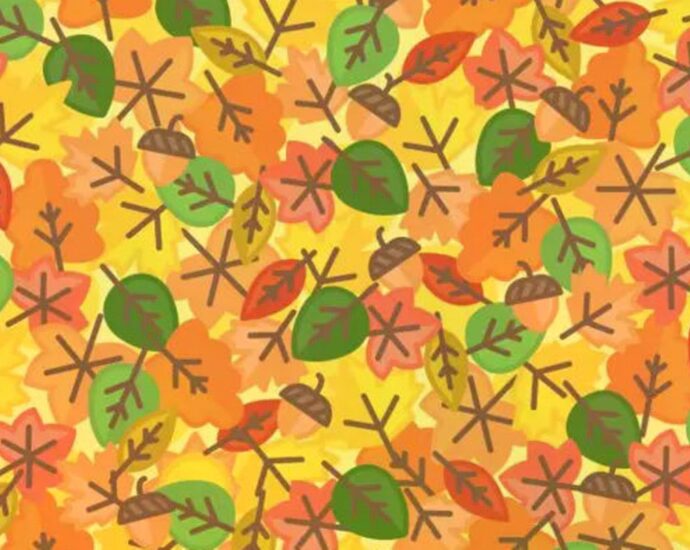 Teste deinen Fokus: Wo versteckt sich die Sonne im Herbstlaub?