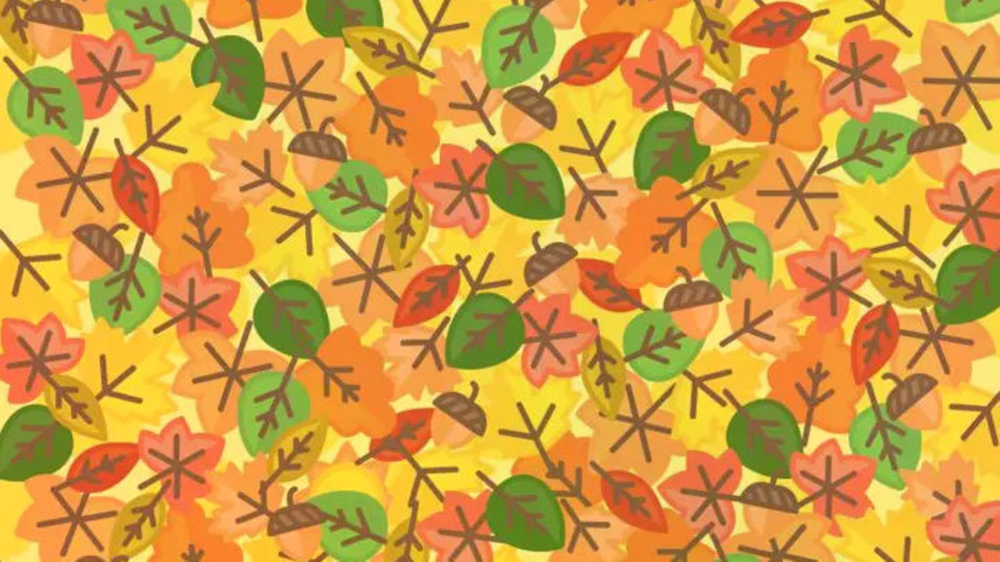 Teste deinen Fokus: Wo versteckt sich die Sonne im Herbstlaub?