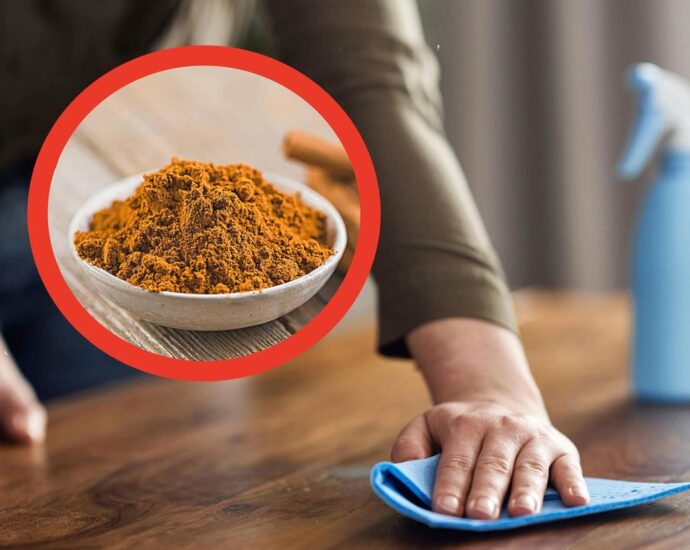 Putzen mit Zimt: Genialer Haushaltstrick oder doch keine gute Idee?